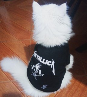 perro metaleto